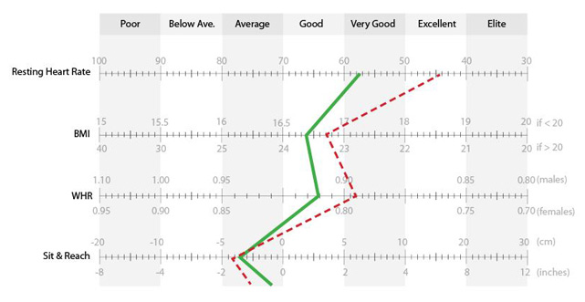 Anthropometric Chart