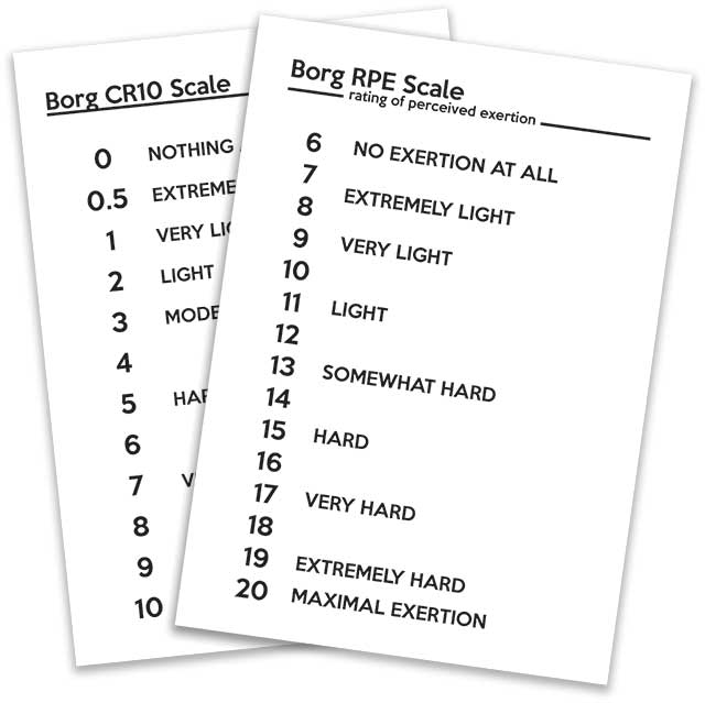 borg rpe rating scale