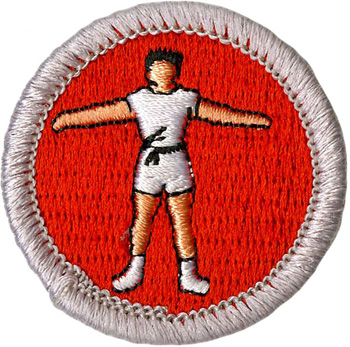 Scout merit badge