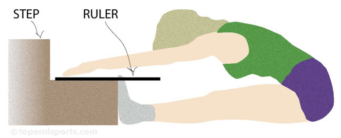 Sit And Reach Flexibility Test Chart