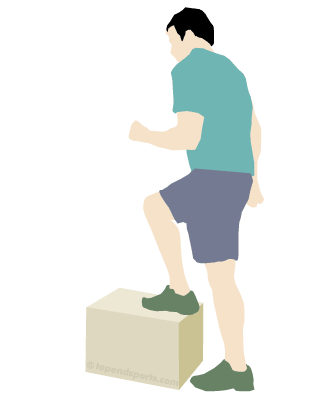 QUIZ HISTORIA online exercise for