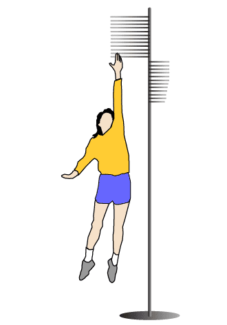 Vertical Jump Test