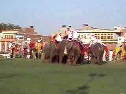 ELEPHANT POLO