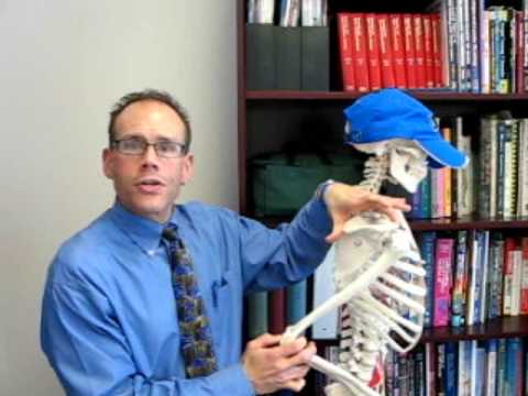 Upper Body Skinfold Sites