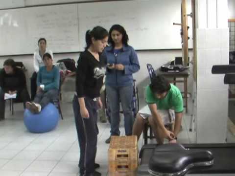 test de harvard