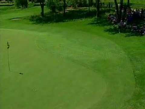 Amazing golf shot