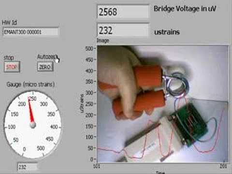 Hand Dynamometer