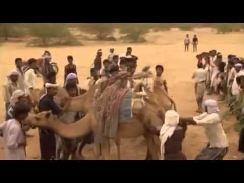 Camel Jumping