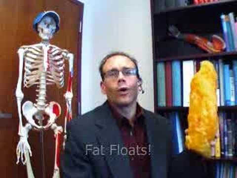 Body Composition
