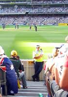 Cricket fun police in yellow west