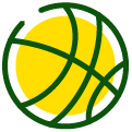 basketball icon