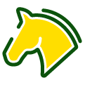 horse racing icon